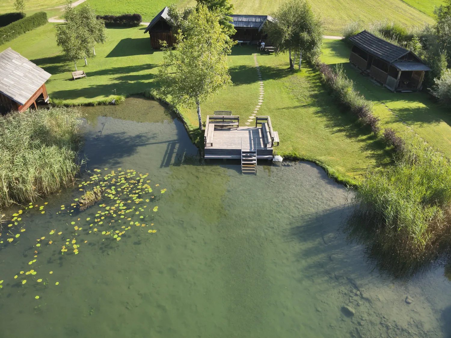 Luftaufnahme vom Ufer, Steg und der Liegewiese