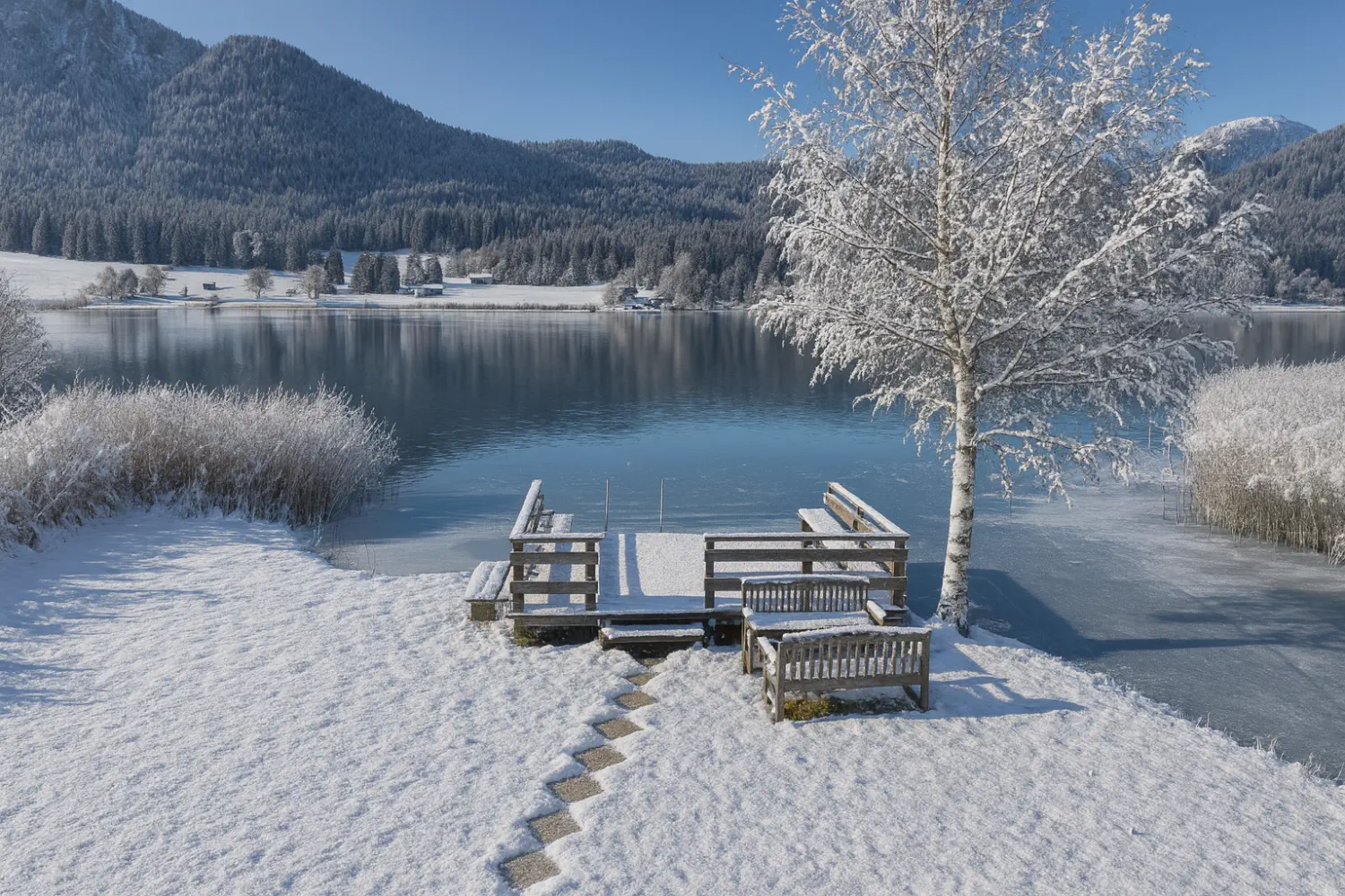 Der Steg im Winter mit Schnee